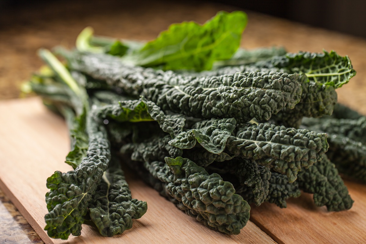 Dinosaur kale