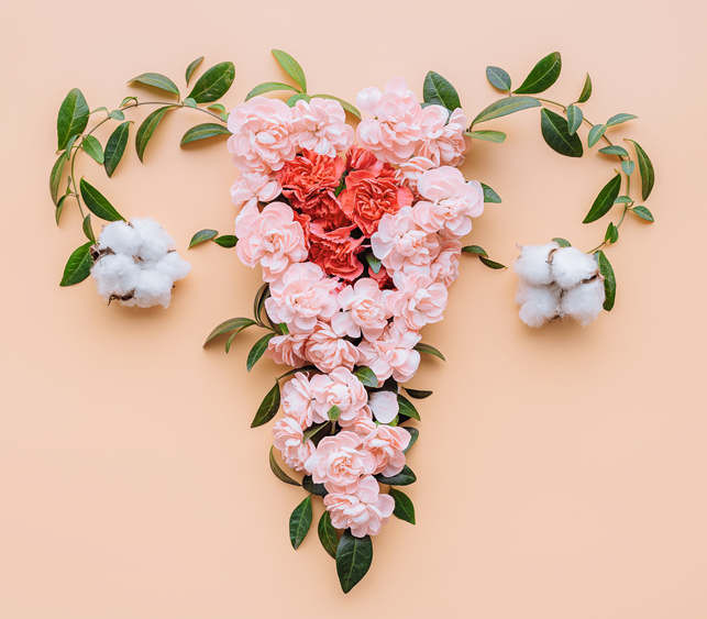 uterusovariesofflowers